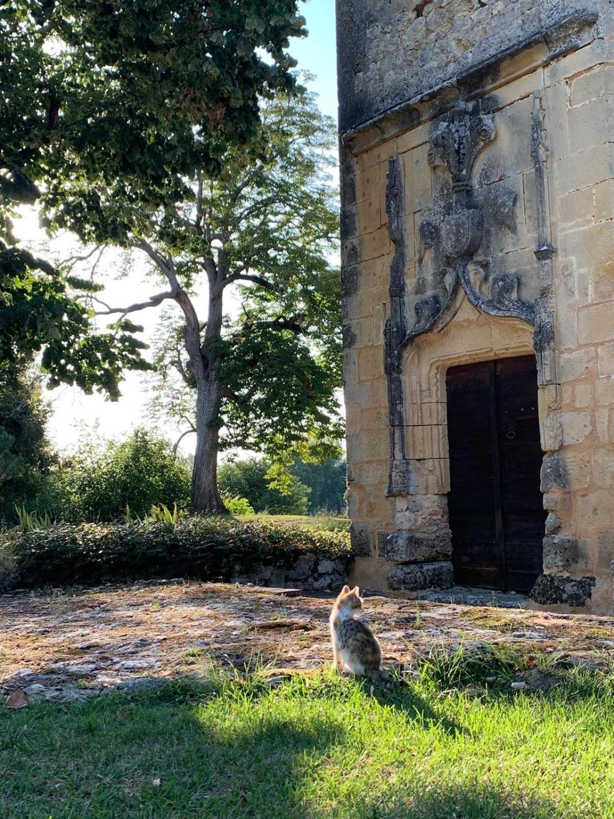 Chateau De Monsac المظهر الخارجي الصورة