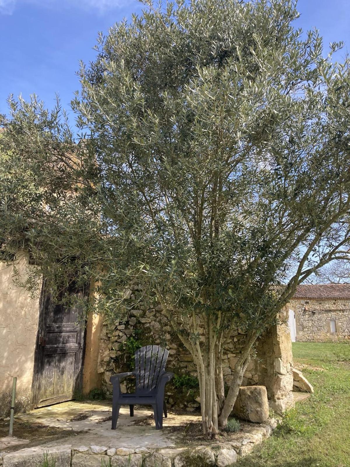 Chateau De Monsac المظهر الخارجي الصورة